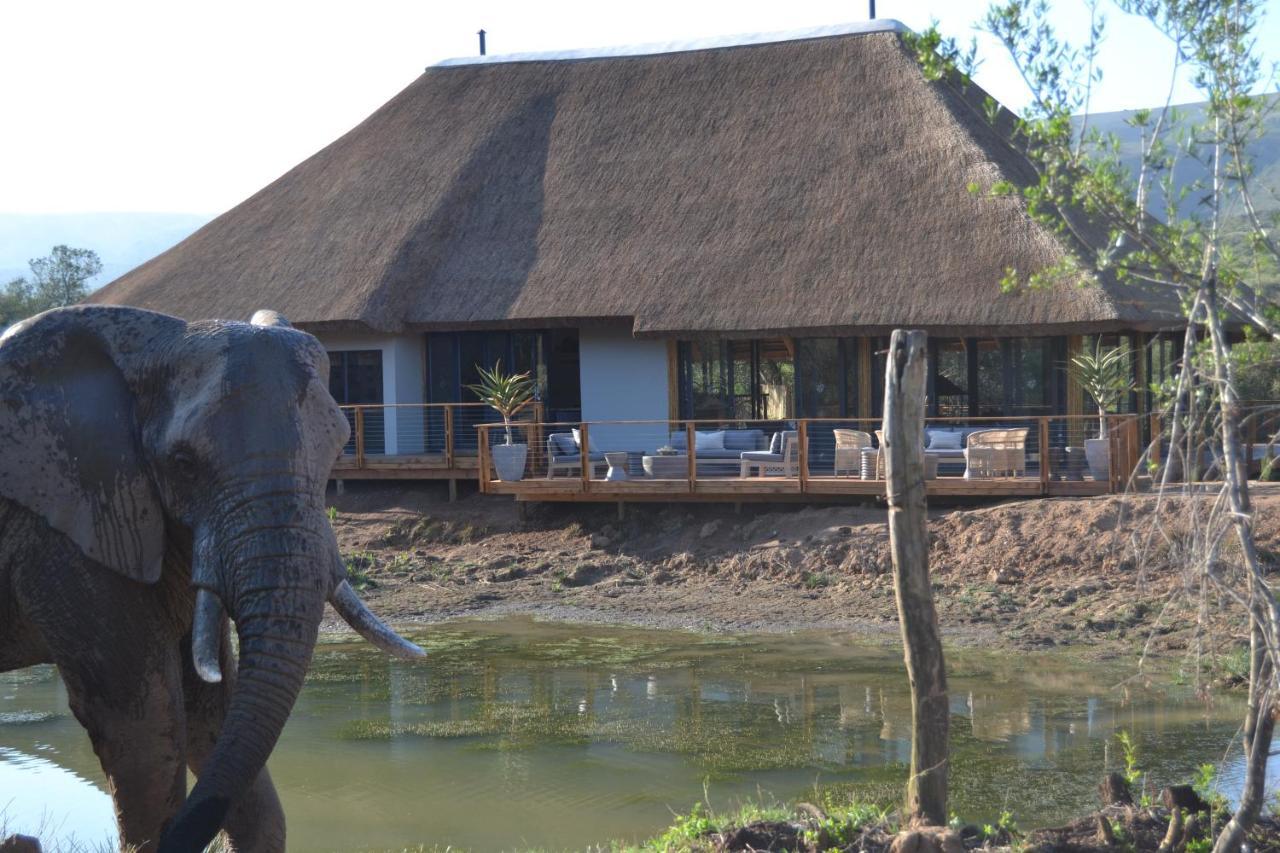 Barefoot Addo Elephant Lodge Bagian luar foto